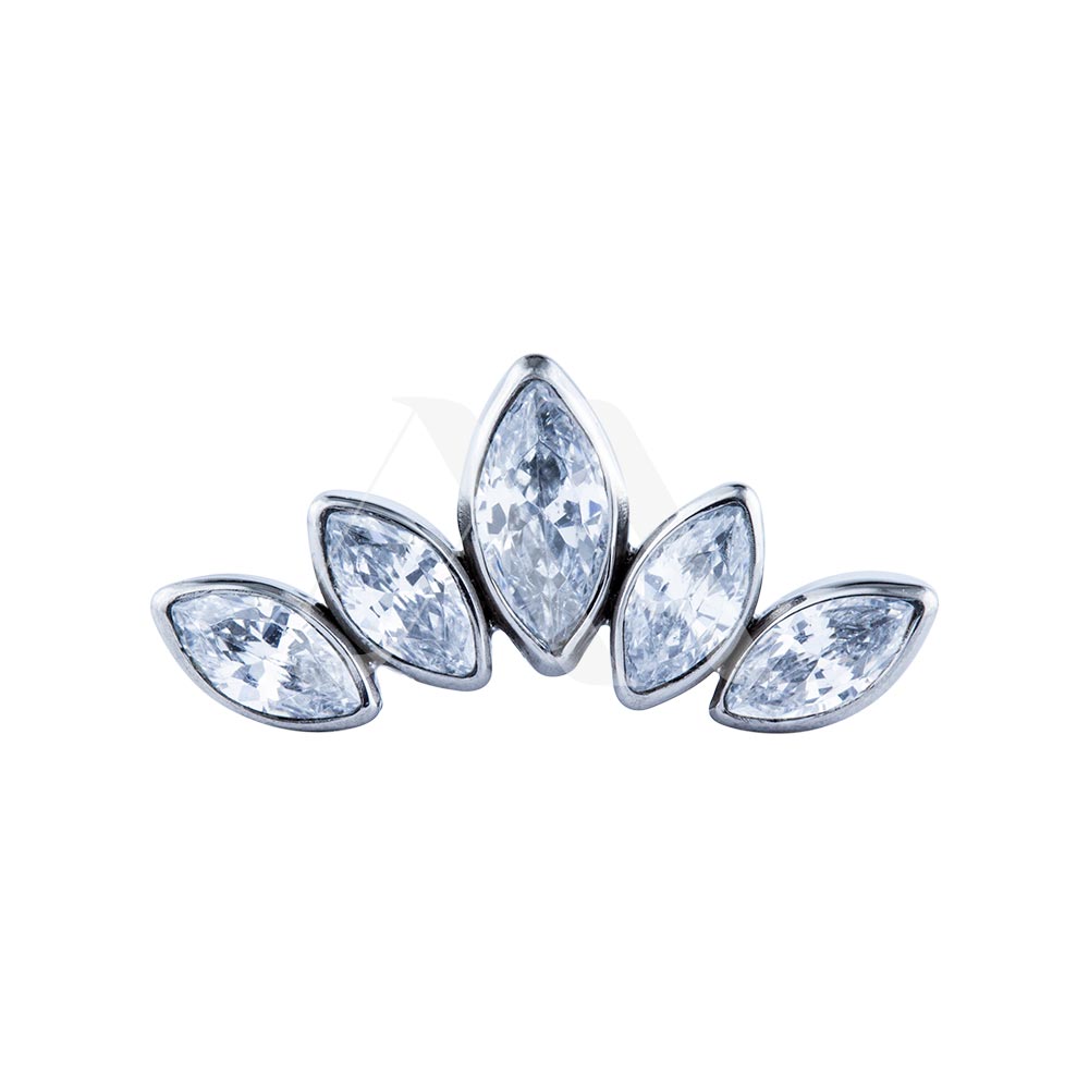 Top – Leaf Cluster with Crystals (16G)